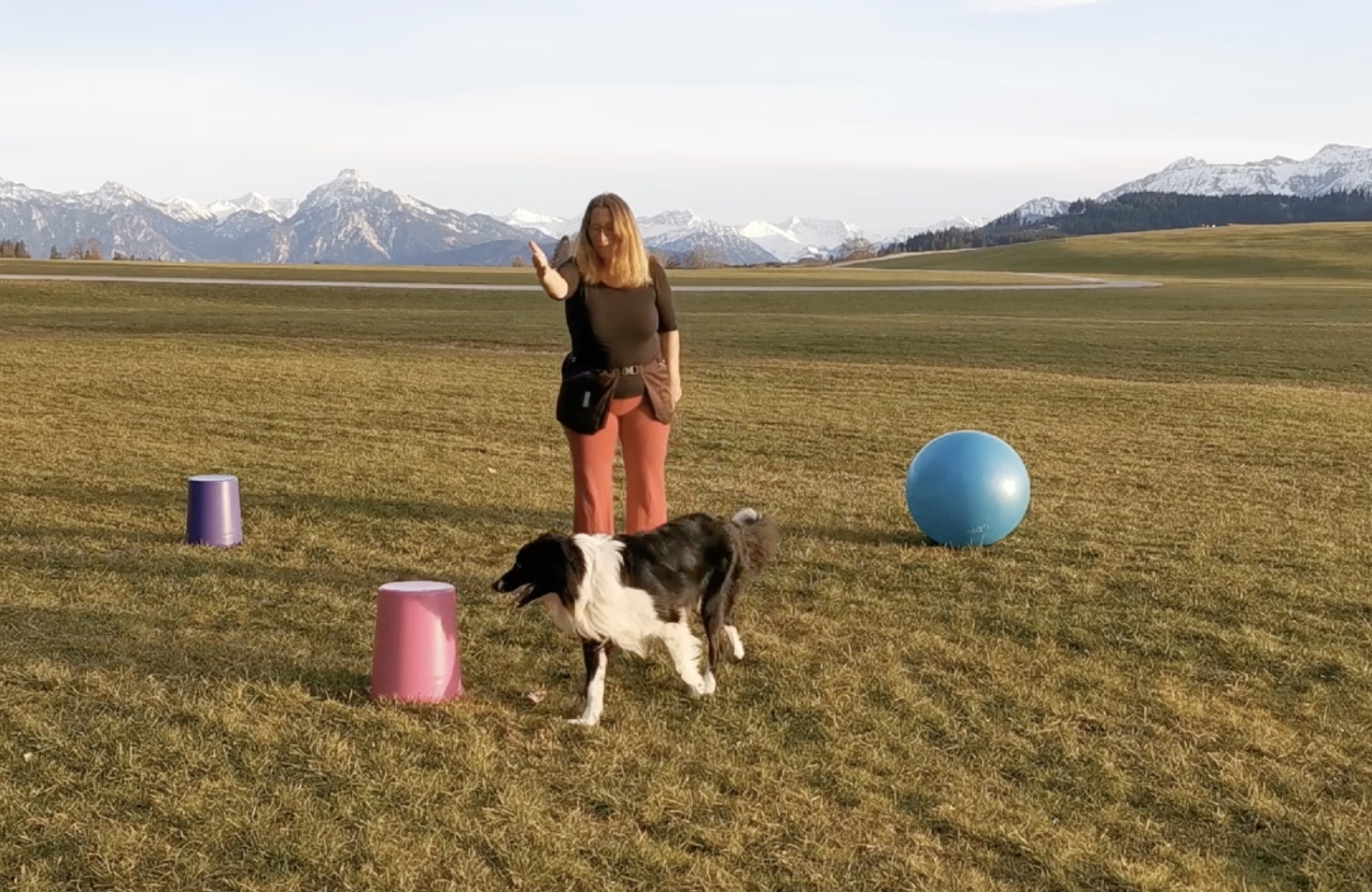 Distanzarbeit mit Treibball