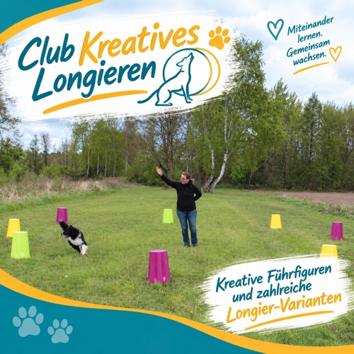 Kreatives Longieren