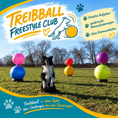 Treibball