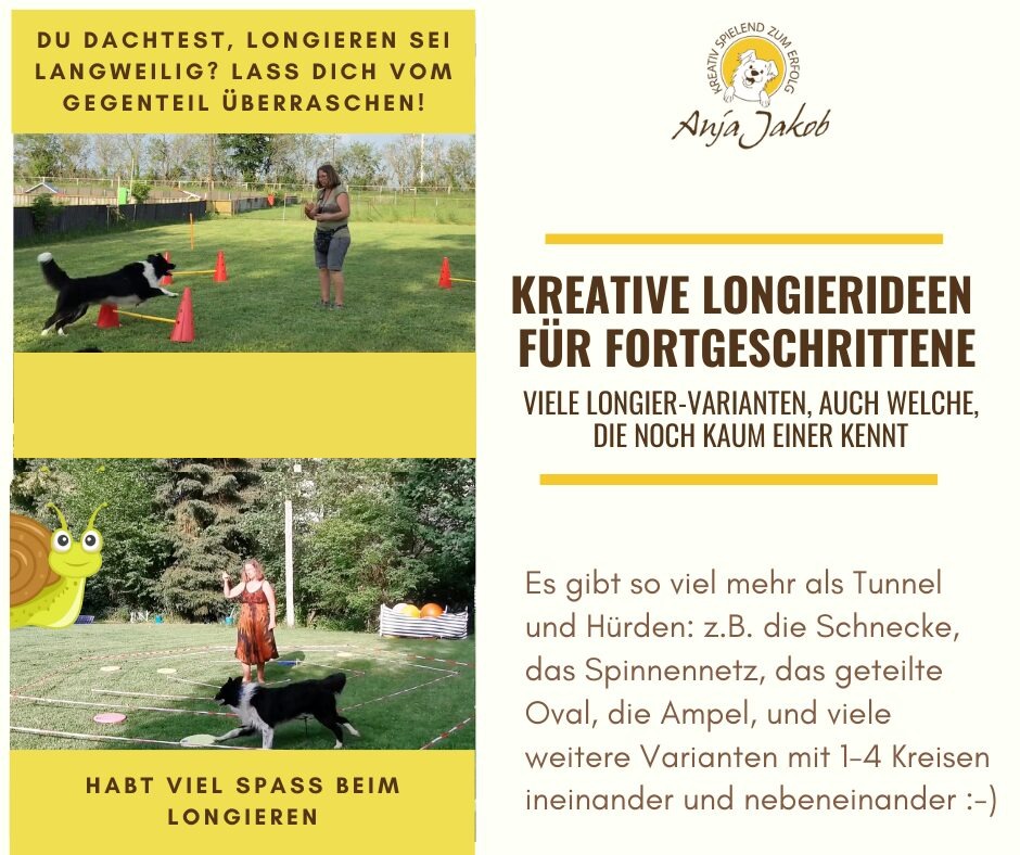 Kreative Longierideen für Fortgeschrittene