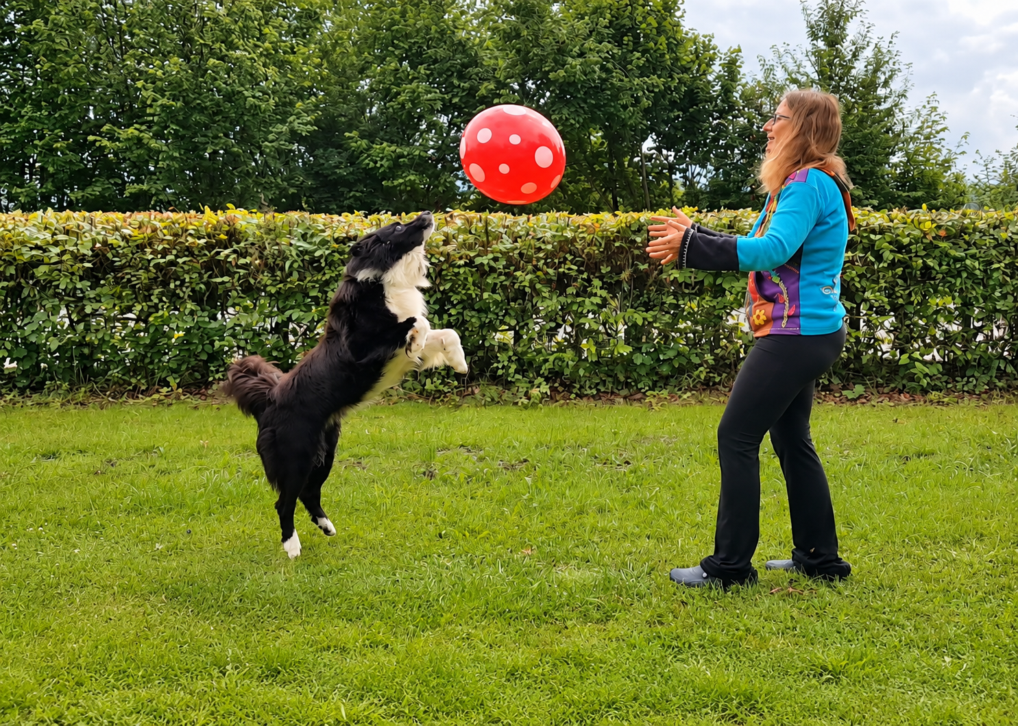 Hund spielt Volleyball als Wow-Trick